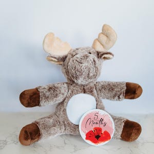 Disques d'étapes mensuelles pour bébés, jalons mensuels pour photos de bébé, cadeau de baby shower, cartes d'étapes importantes, orignal en peluche personnalisé, Hello World