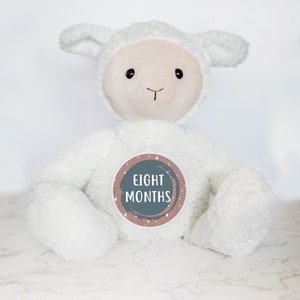 Tarjetas intercambiables con hitos mensuales personalizados para bebés, hitos del bebé, anuncio de bebé personalizado, peluche de cordero personalizado para bebé