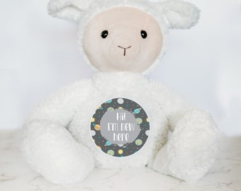 Baby's First Years Custom Monthly Milestone Tracker, Milestone Sign, Personalized Stuffed Animal, Monthly Milestones, Baby Name Announcement