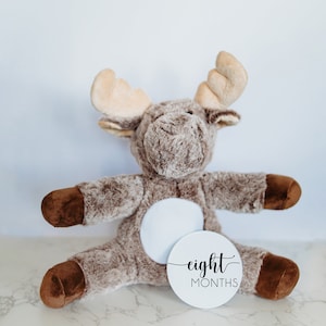 Cartes interchangeables Jalon mensuel pour bébé, Cadeau pour nouveau-né, Faire-part de nom personnalisé Jalon mensuel pour bébé, Orignal en peluche personnalisé