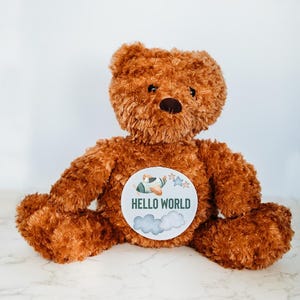 Jalon personnalisé pour bébé en peluche, Jalons du mois, Suivi des jalons de la première année de bébé, Cadeau pour bébé, Signes mensuels pour bébé