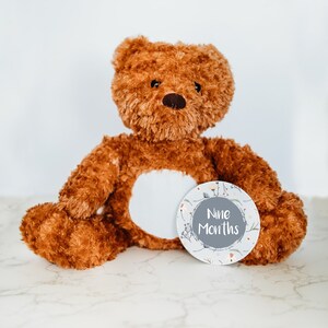 Cartes mensuelles interchangeables pour bébé, Idées cadeaux pour une fête prénatale, Peluche personnalisée, Événements marquants du mois, Souvenir de bébé