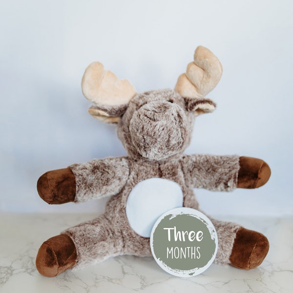 Moose Neutral Monthly Milestone Stuffed Animal, Baby Milestone, Newborn Prop, Personalized Birth Stat Stuffed Animal, Baby Shower Gift