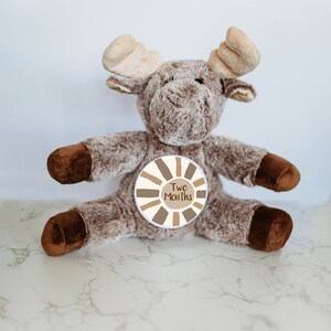 Suivi d'étape mensuel pour bébé, plaque d'étape personnalisée pour bébé, peluche personnalisée, idées cadeaux uniques pour baby shower, cartes d'étape importante