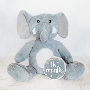 Peluche personnalisée nouveau-né, cadeau baby shower, cartes étape importante pour bébé, cadeau bébé personnalisé personnalisé, faire-part de nouveau-né