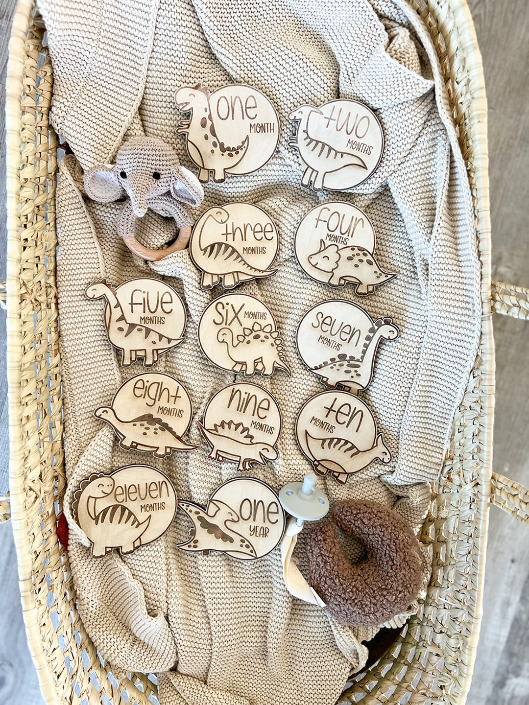 Dinosaur Baby Milestone Discs: Engraved Wooden Photo Props - Etsy