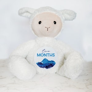 Carte mémoire jalon du mois pour bébé, peluche personnalisée, jalons du mois, peluche agneau, cartes jalons interchangeables