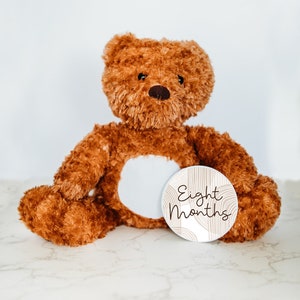 Carte mémoire jalon du mois pour bébé, peluche personnalisée, jalons du mois, peluche ours, cartes jalons interchangeables