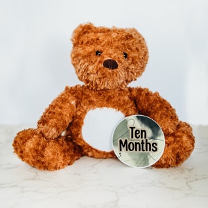 Rastreador de hitos, señal de hito, animal de peluche personalizado, hitos mensuales, tarjeta de hito, osito de peluche, hito del bebé