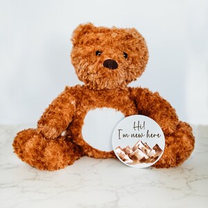 Panneaux mensuels interchangeables pour bébé, suiveur d'étape mensuelle pour bébé, panneau d'étape, animal en peluche personnalisé, idées cadeaux uniques pour bébé