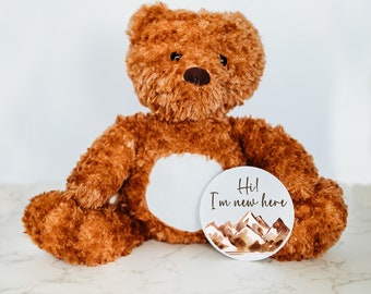 Interchangeable Monthly Signs For Baby, Baby Monthly Milestone Tracker, Milestone Sign, Personalized Stuffed Animal, Unique Baby Gift Ideas