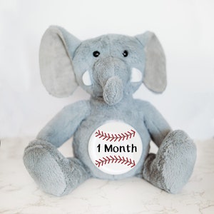 Rastreador de hitos mensuales para bebés, letrero de hitos personalizado para bebés, animal de peluche personalizado, ideas únicas para regalos de baby shower, tarjetas de hitos