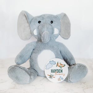 Cartes d'étape interchangeables pour bébé, peluche personnalisée, disque jalon de la première année de bébé, cadeau unique pour nouveau-né, nom de bébé