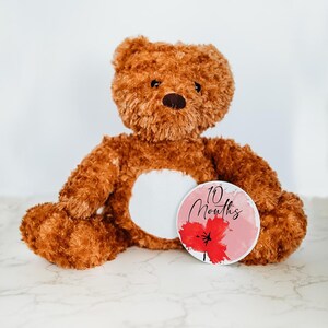 Cartes d'étape interchangeables pour bébé, peluche personnalisée, disque jalon de la première année de bébé, cadeau unique pour nouveau-né, nom de bébé
