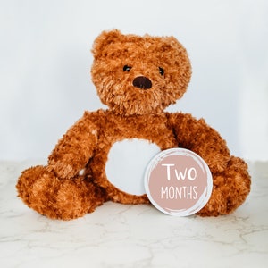 Suivi d'étape mensuel pour bébé, plaque d'étape personnalisée pour bébé, peluche personnalisée, idées cadeaux uniques pour baby shower, cartes d'étape importante