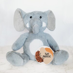 Tarjetas de hitos mensuales intercambiables para el primer año del bebé, letrero de hitos del bebé, animal de peluche personalizado, hitos mensuales