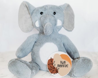 Interchangeable Monthly Milestone Cards for Baby's First Year, Baby Milestone Sign, Personalized Stuffed Animal, Monthly Milestones