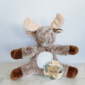 Cartão de memória do mês do marco do bebê, bicho de pelúcia personalizado, marcos mensais, bicho de pelúcia de alce, cartões de marco intercambiáveis
