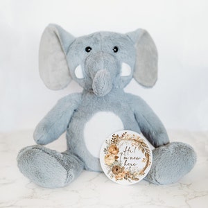 Cartes d'étape personnalisées pour la première année de bébé, cadeau baby shower, souvenir de bébé, marqueur de disques personnalisés jalon de bébé, peluche personnalisée