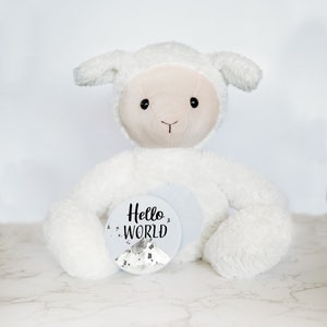 Ensemble d'étapes mensuelles personnalisées pour bébé, ours en peluche personnalisé, souvenir de bébé, cadeau unique pour bébé, cartes d'étape mensuelle pour bébé