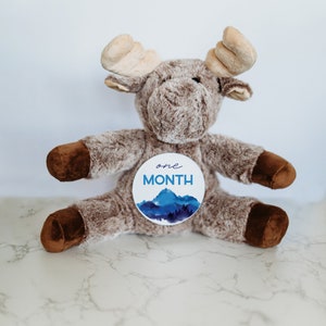 Cartes d'étape personnalisées pour la première année de bébé, cadeau baby shower, souvenir de bébé, marqueur de disques personnalisés jalon de bébé, peluche personnalisée