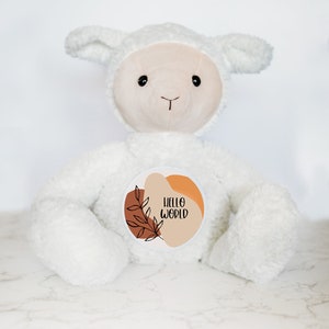 Cartes d'étape interchangeables pour bébé, panneau d'étape, cadeau pour un nouveau-né, jalons du mois, peluche ours, ours personnalisé, nom personnalisé