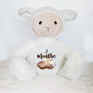Cartes d'étape interchangeables pour bébé, peluche personnalisée, disque jalon de la première année de bébé, cadeau unique pour nouveau-né, nom de bébé