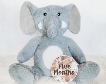 Baby's First Years Custom Monthly Milestone Tracker, Milestone Sign, Personalized Stuffed Animal, Monthly Milestones, Baby Name Announcement
