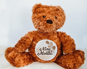Baby Milestone Markers, Milestone Sign, Personalized Stuffed Animal, Monthly Milestones, Bear stuffed animal, Month Milestone Baby