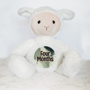 Tarjetas mensuales intercambiables con hitos del bebé, ideas para regalos de baby shower, peluches personalizados, hitos mensuales, recuerdos para bebés