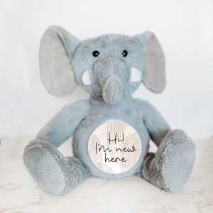 Panneaux mensuels interchangeables pour bébé, suiveur d'étape mensuelle pour bébé, panneau d'étape, animal en peluche personnalisé, idées cadeaux uniques pour bébé