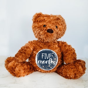 Disques d'étapes mensuelles pour bébés, jalons mensuels pour photos de bébé, cadeau de baby shower, cartes d'étapes importantes, ours en peluche personnalisé, Hello World