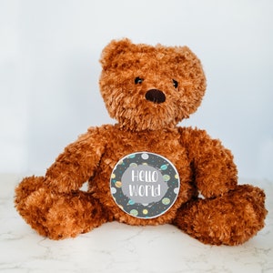 Señales de hitos del bebé, señal de hito, animal de peluche personalizado, hitos mensuales, osito de peluche, hito del mes del bebé