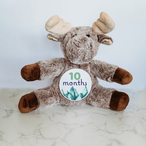 Peluche personnalisée nouveau-né, cadeau baby shower, cartes étape importante pour bébé, cadeau bébé personnalisé personnalisé, faire-part de nouveau-né
