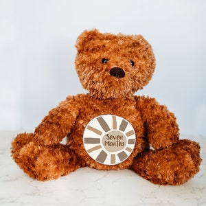 Rastreador de hitos, señal de hito, animal de peluche personalizado, hitos mensuales, tarjeta de hito, osito de peluche, hito del bebé