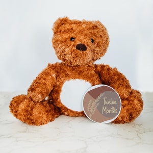 Cartes d'étape mensuelles interchangeables pour la première année de bébé, panneau d'étape importante pour bébé, peluche personnalisée, étapes importantes du mois