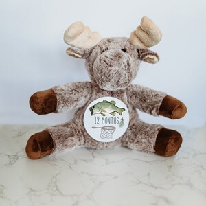 Cartes d'étape mensuelles interchangeables pour la première année de bébé, panneau d'étape importante pour bébé, peluche personnalisée, étapes importantes du mois