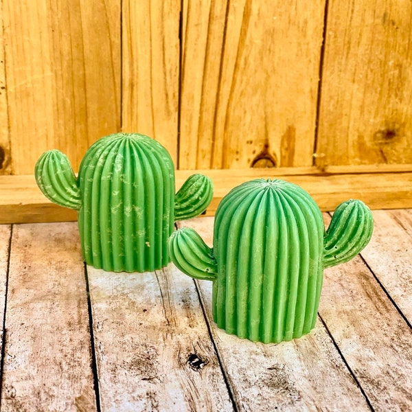 Mini Cactus Soap