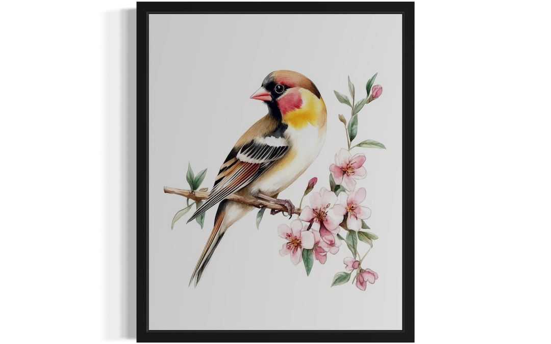 Goldfinch Robin Poster Art Print, Branch Watercolor Wall Art Painting Picture Artwork Bedroom Decor - Etsy Japan