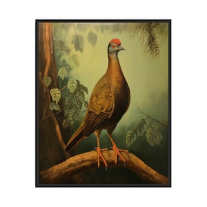 Póster con impresión artística de Chachalaca simple, pintura de arte de pared de pájaro vintage, decoración con foto de pájaro