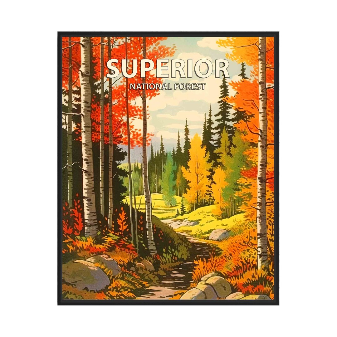 Superior National Forest Poster Art Print, Retro National Park Gifts - Etsy