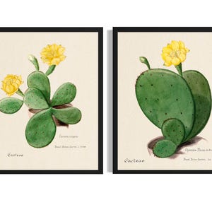 Kaktus Poster Kunst Druck (2-er Set), Künstler Wand Kunst Gemälde Bild Kunstwerk Wohnzimmer Dekor