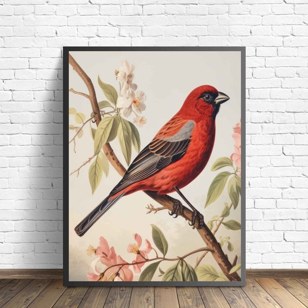 Finch Bird Poster Art Print, Animal Retro Artwork Painting