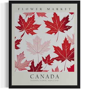 Kanada, Ahornblatt Poster Kunstdruck, Land Blumenmarkt Wand Kunst Gemälde Bild Kunstwerk Schlafzimmer Dekor
