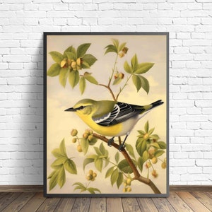 Póster de pájaro curruca, impresión artística, pintura de arte retro animal