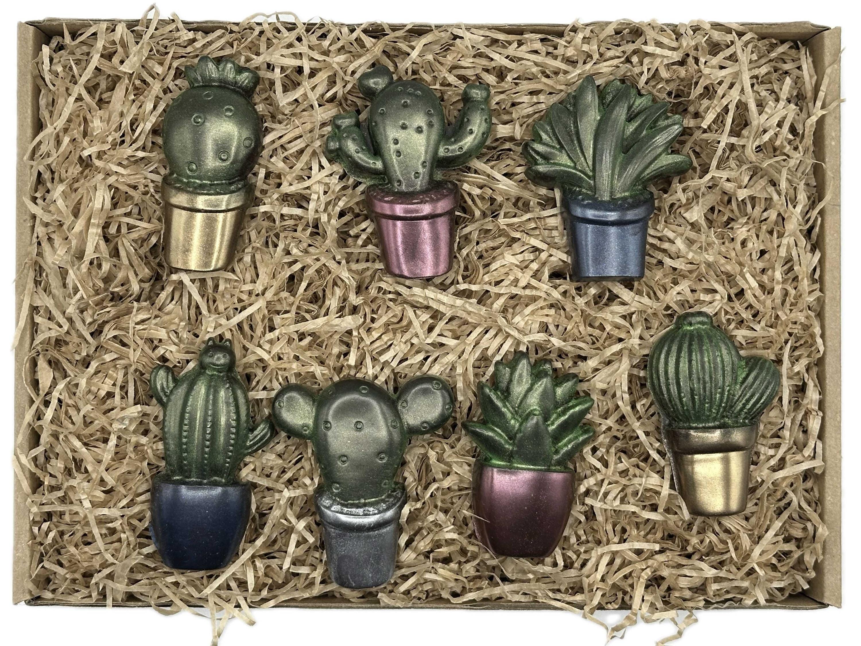 kaktus sneaker Cactus' Shoes  MAUVSTUDIO