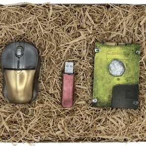 Op de afbeelding: Een gouden computermuis, een roze USB-stick en een groene harde schijf in een doos gevuld met bruine verpakkingschips.