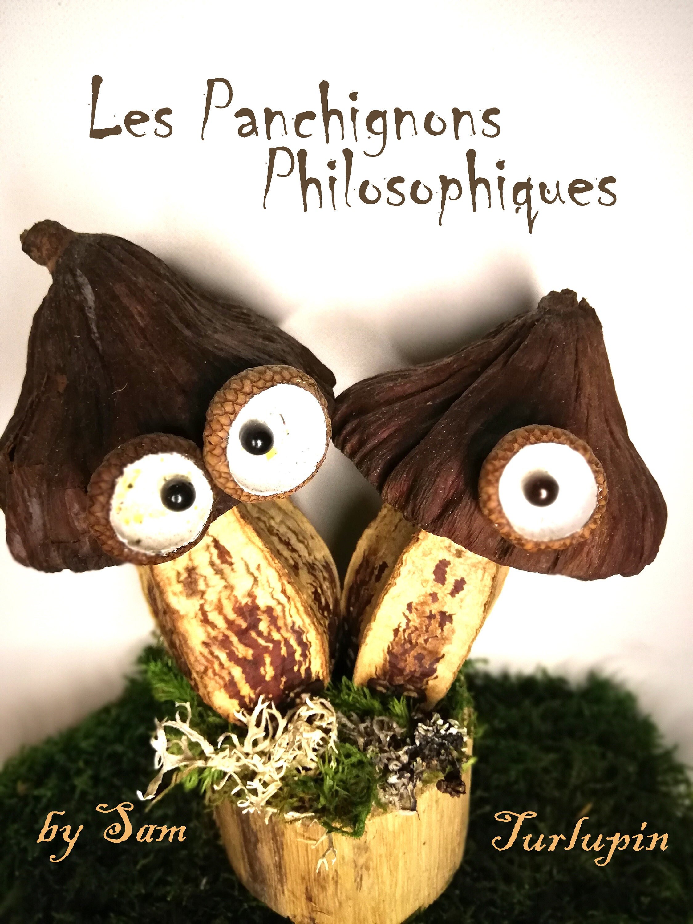 Drôles de Champignons