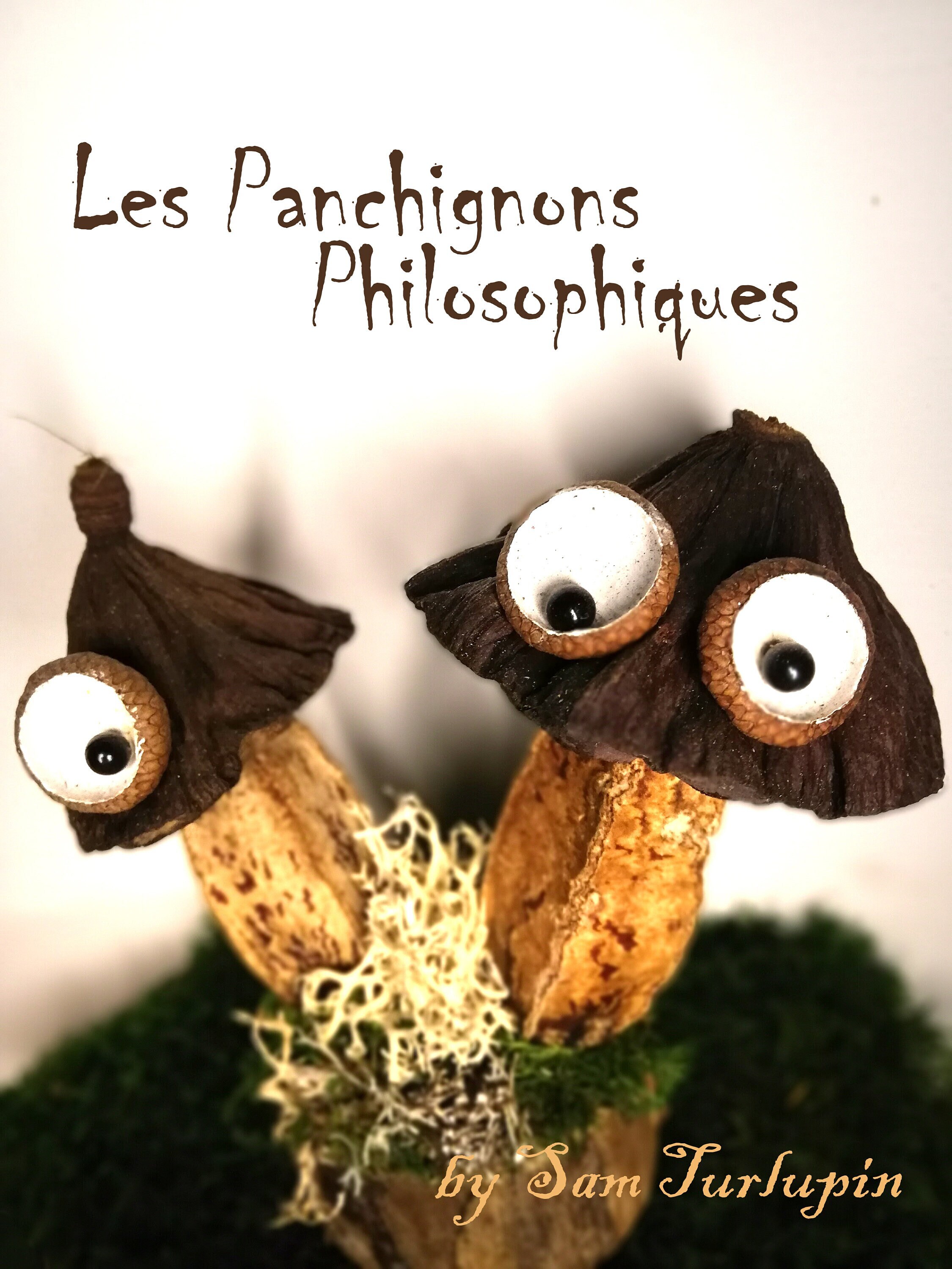Drôles de Champignons