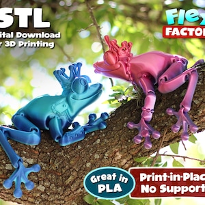 Flexi Print-in-Place Frog Prince and Princess - STL file for 3D Printing